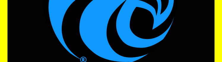 Digital image of the FlightCheck logo, an app icon with a stylized blue bird head facing left, with a prominent yellow eye, on a black square background. Below the bird image is the word "FLIGHTCHECK" in white, bold, sans-serif font. The entire icon is enclosed within a rounded square with a thick yellow border and a thin gray outline. The bird head logo includes a small registered trademark symbol (R) near the bottom.