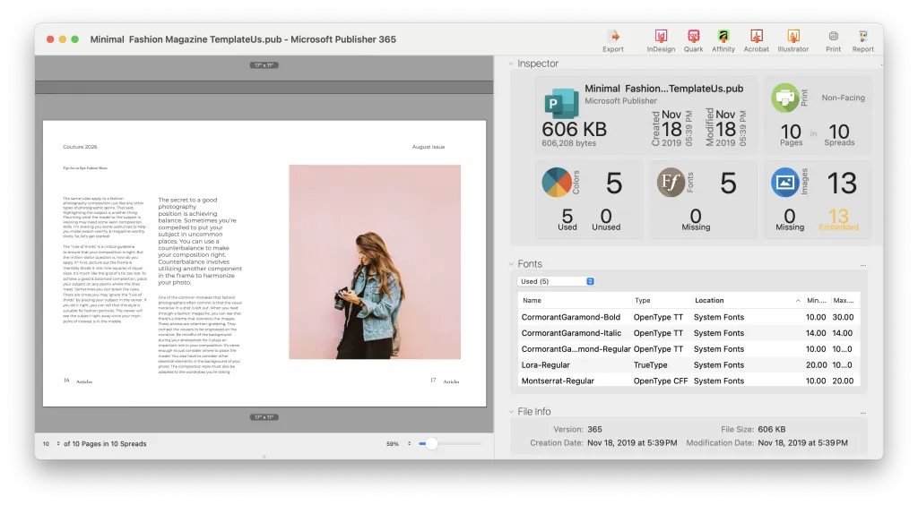 Microsoft Fichier PUB de l'éditeur prévisualisé dans OmniMarkz avec les informations relatives au document, à la police et à l'image avant l'exportation IDML.